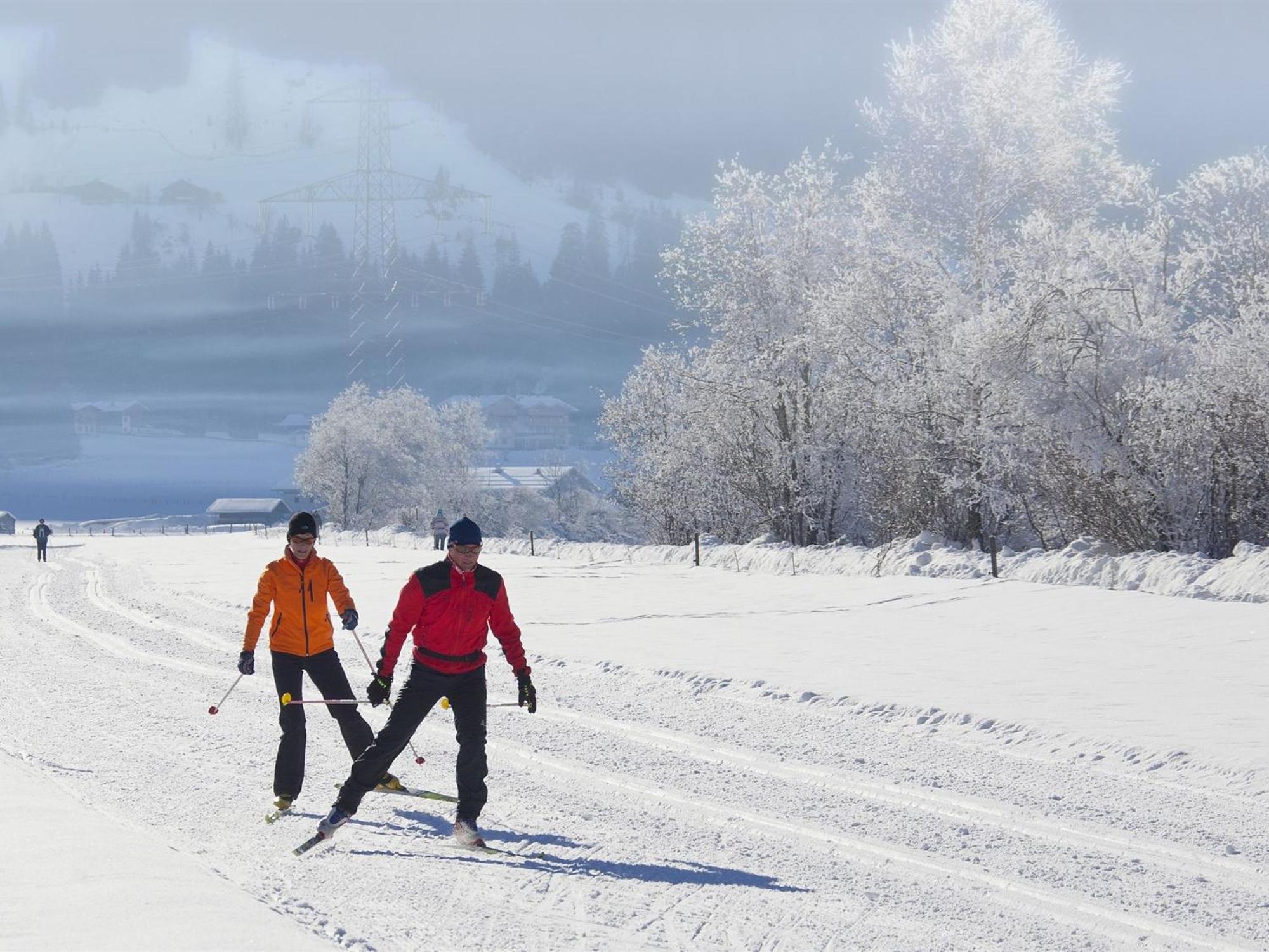 Holiday Home In Ski Area In Миттерзилль Экстерьер фото